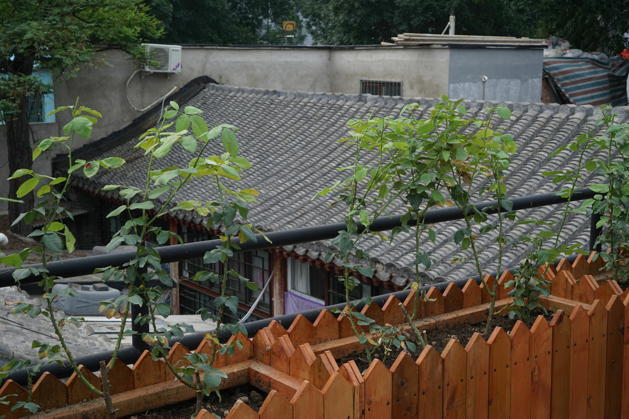 Garden Inn Beijing Exterior photo